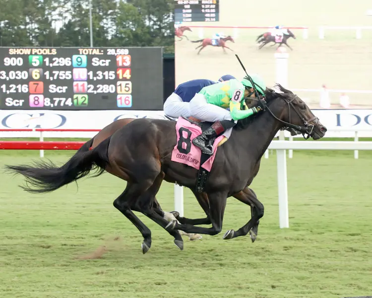 STORM'S WAKE - The 16th Running of The Old Dominion Oaks - 09-07-26 - R08 - Colonial Downs - Finish 01