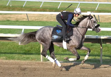 Haskell Stakes: Napoleon Solo out to validate Preakness success