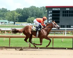 Breeders' Cup Juvenile Fillies: Crazy Hot Mess will not run
