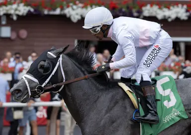 DRF's Horse Racing Playbook for Sunday Aug. 23, 2026