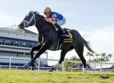 Woodbine trainer Nathan Squires dead at 62