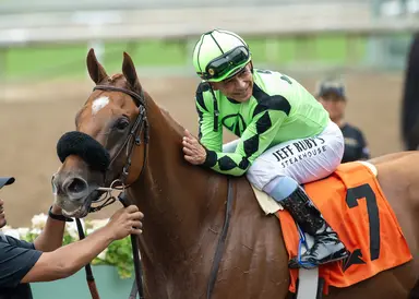 Boss Sully points to Stormy Liberal Stakes to complete hat trick