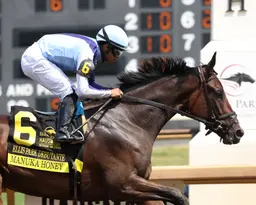 Salahudin takes Ellis Park Juvenile, Manuka Honey rolls in Ellis Park Debutante