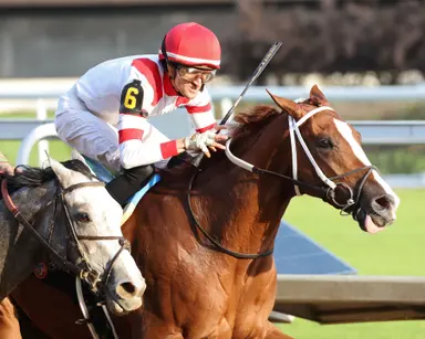 With 90 Beyer, Jas may have found a calling on dirt, and his way on Road to the Derby