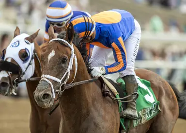 Journalism overcomes horrendous start to win San Diego
