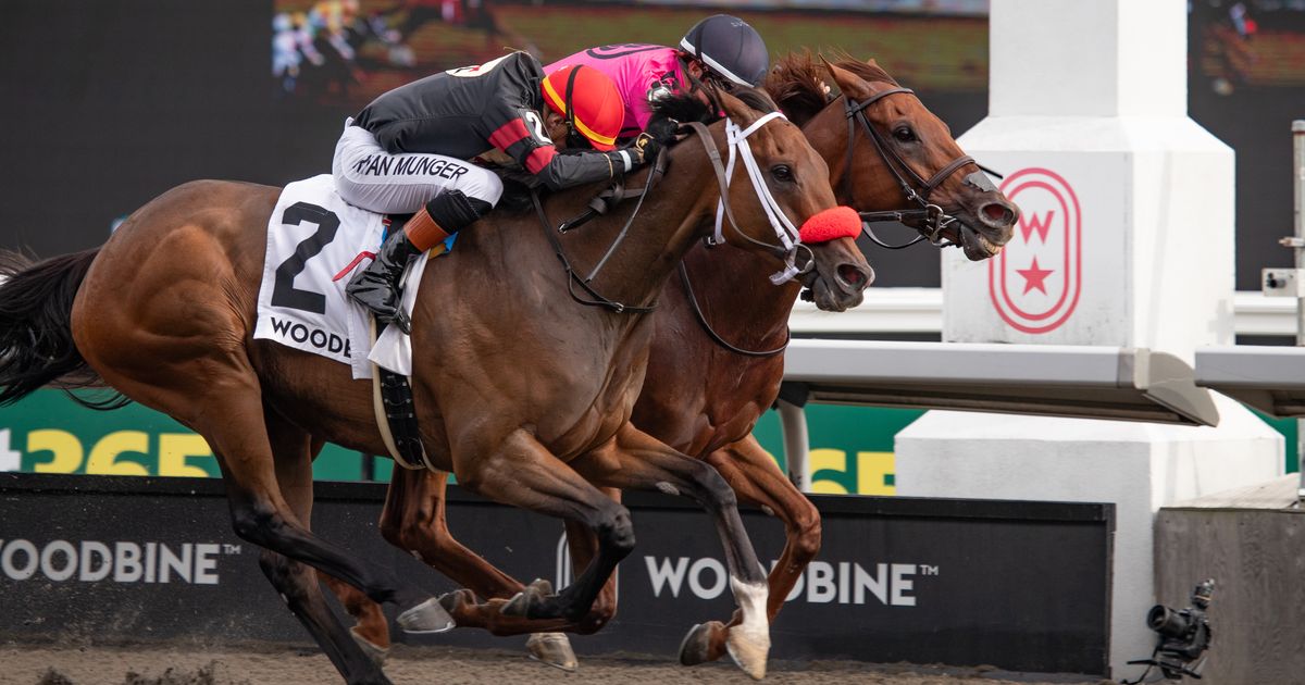Paramount Prince takes early lead all the way in Seagram Cup