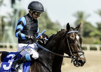 Off 'tough beat,' Cabo Spirit headed to Del Mar Mile