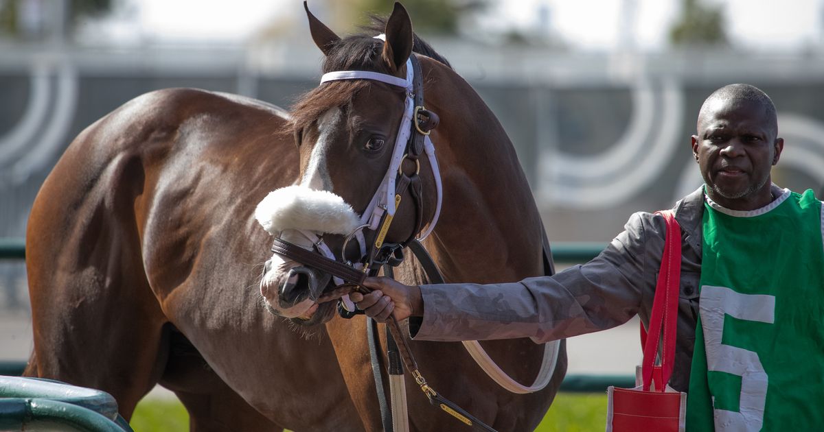 Two Out Hero takes on elders as E.P. Taylor turf course reopens