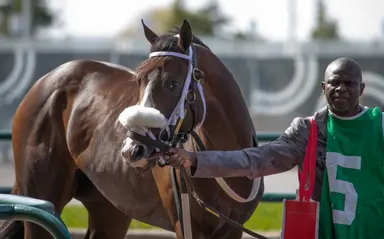 Two Out Hero takes on elders as E.P. Taylor turf course reopens