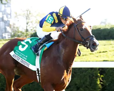 Sister Troienne wires Valley View as Saez sweeps stakes
