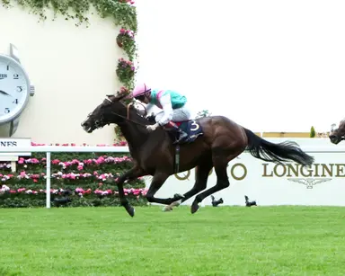 Blue Bolt ships to France for Prix Rothschild
