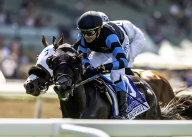 Cabo Spirit tries for Eddie Read upset