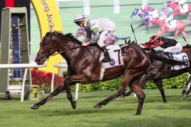 David Eustace and Zac Purton test rising star Light Years Charm in Group debut