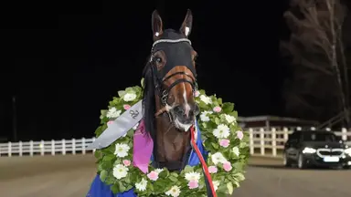 Yonkers: Daim Brodda brings high speed to MGM Yonkers International Trot