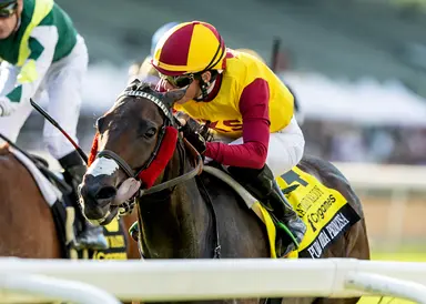 Pura Vida Princesa earns first stakes victory in Senator Ken Maddy