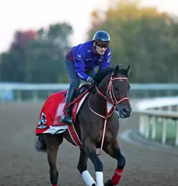 Host of previous winners among 222 pre-entries for 43rd Breeders' Cup