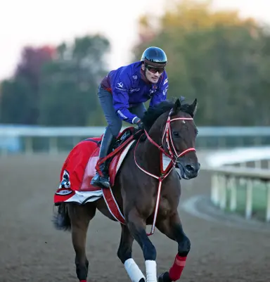Host of previous winners among 222 pre-entries for 43rd Breeders' Cup
