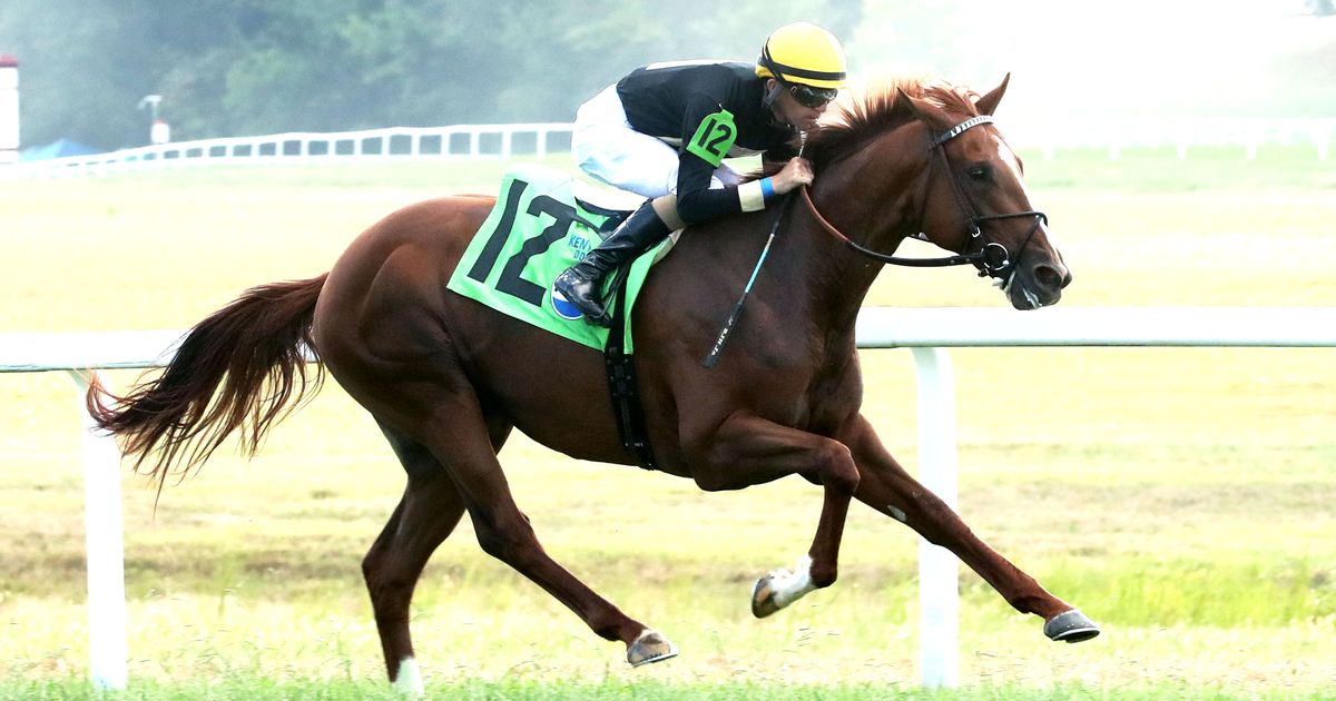 How's Al Today shows explosive turn of foot in Juvenile Mile