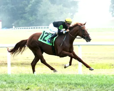 How's Al Today shows explosive turn of foot in Juvenile Mile