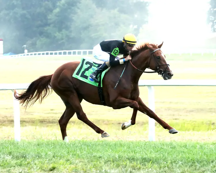 HOW'S AL TODAY - The Pepsi Kentucky Downs Juvenille Mile - 09-09-26 - R11 - Kentucky Downs - Finish 02 - Renee Torbit
