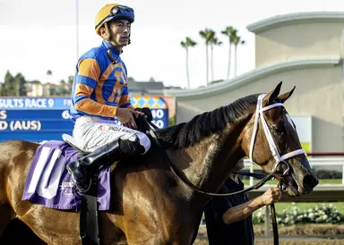 Arabian Lion colt sells for $525K, setting record at Fasig-Tipton California yearling sale