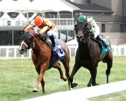 Citrus Springs hangs on to take Kentucky Downs Juvenile Fillies