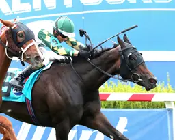 Breeders' Cup Juvenile Fillies Turf: Citrus Springs another Irish hope for owner Reeves