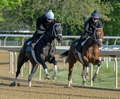 Belmont 2026: Lack of early speed a negative for Golden Tempo, Renegade