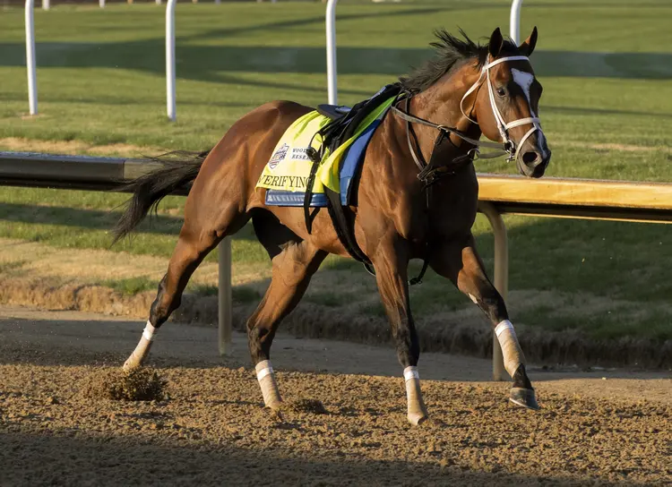 Verifying02.5-4-23.B.jpg