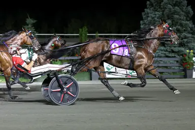Meadowlands: Ervin Hanover leads Pollack’s stakes sextet
