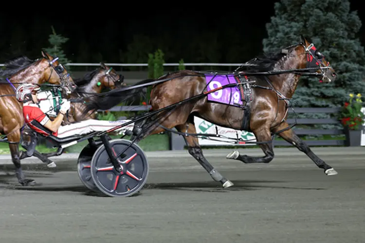 Ervin Hanover 6-13-26