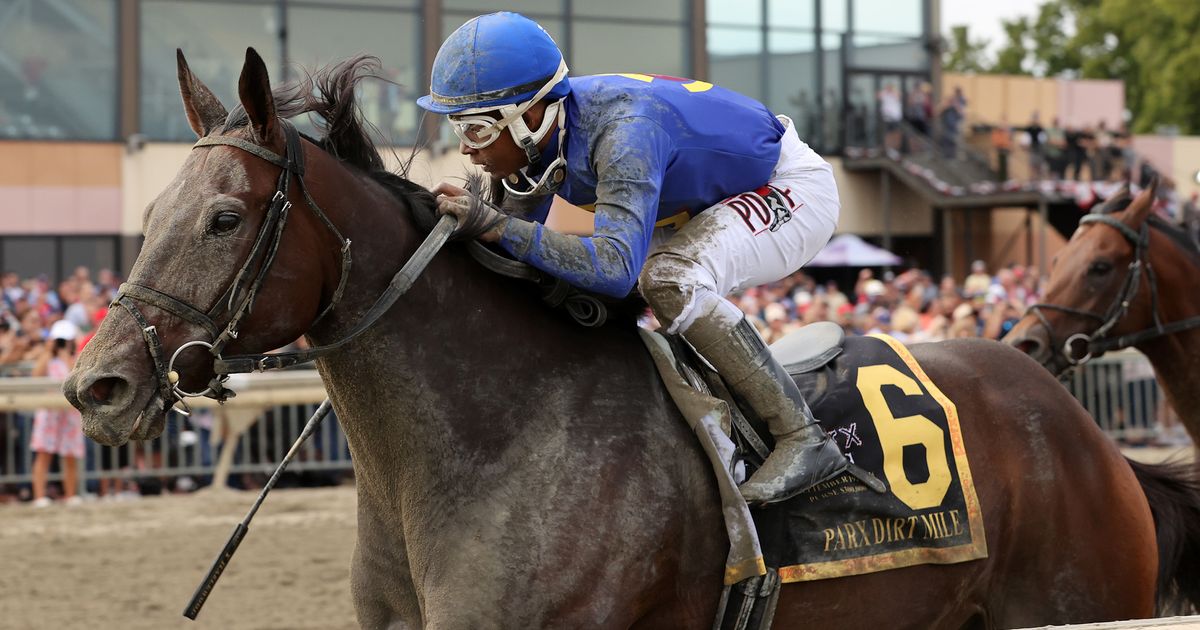 Wild Vine stays home for shot at M.P. Ballezzi Appreciation Mile Stakes