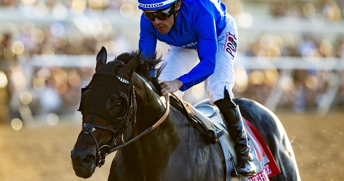 Knightsbridge Romps in Pacific Classic to Earn Breeders' Cup Berth