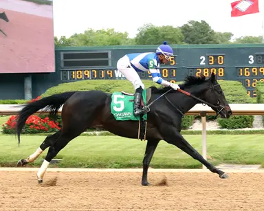 Schultz excited to have options with Pink Ruby