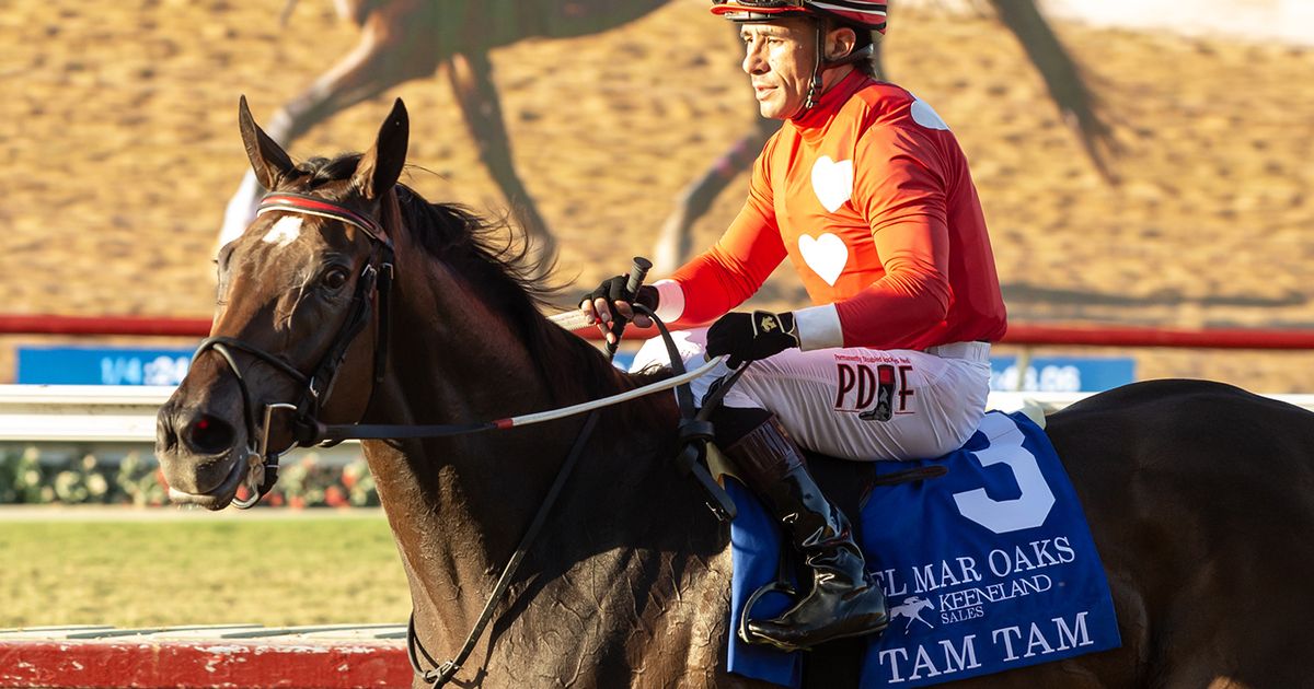 Del Mar Oaks winner Tam Tam headed to Queen Elizabeth II next