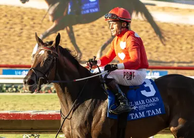 Del Mar Oaks winner Tam Tam headed to Queen Elizabeth II next