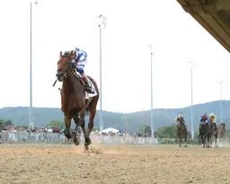 Bracket Buster has target on his back in Parx Dirt Mile