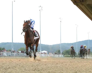 Bracket Buster has target on his back in Parx Dirt Mile