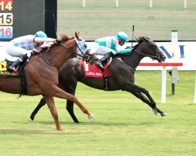 Merryman hopes there's bigger things to come for Somnium