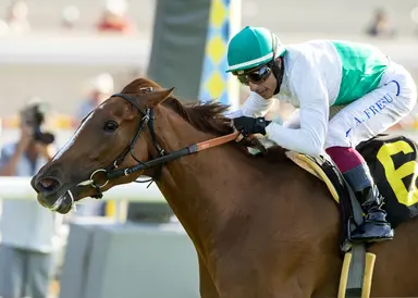 Amorita edges Can't Sleep, earns first stakes win in Daisycutter