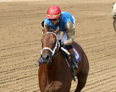 Indiana Derby has some Cajun flavor