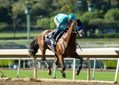 Breeders' Cup Juvenile: Baffert brings pair of undefeated colts