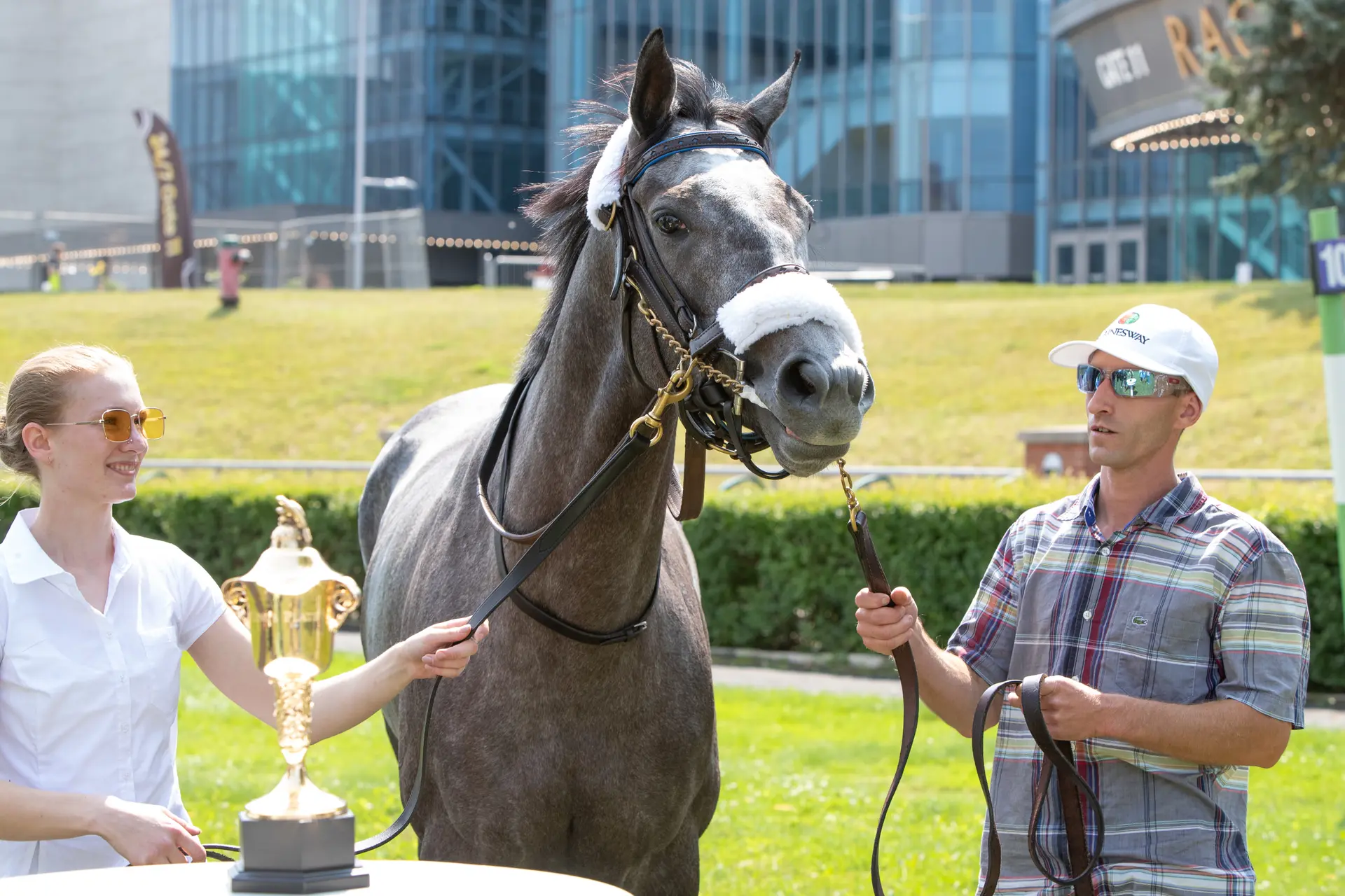 King's Plate is Luster's race to lose