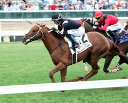 Streaking Lagynos (5) adds Wise Dan Stakes to the list