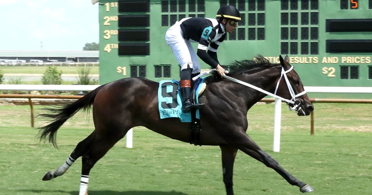 Return to Ellis can help Hot Mash regain form