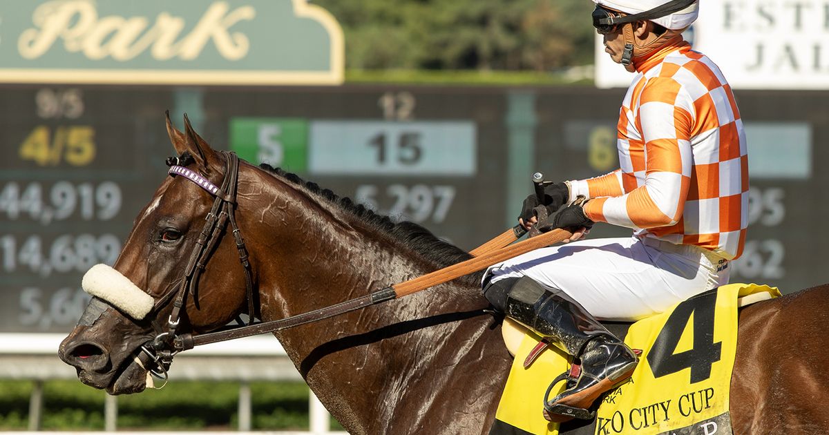 For Mr. A. P., next start could come in Native Diver or Malibu