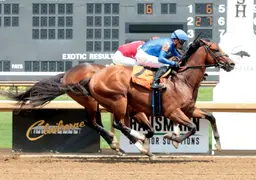 Walsh wins four consecutive races at Ellis