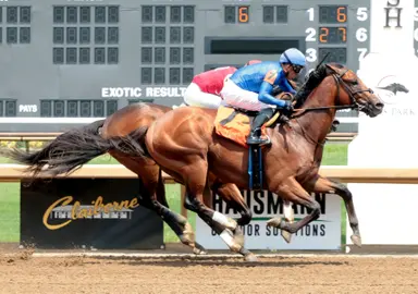 Walsh wins four consecutive races at Ellis