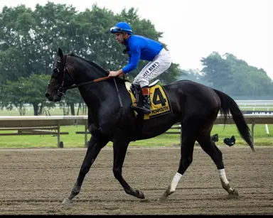 Knightsbridge possible for Pacific Classic