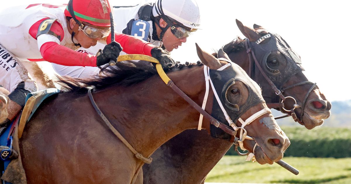 Dr. Kapur ($50.24) survives fast pace, takes Perryville in three-horse ...